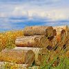 7 bonnes raisons d’opter pour les bûches de bois densifiées