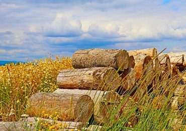 7 bonnes raisons d’opter pour les bûches de bois densifiées